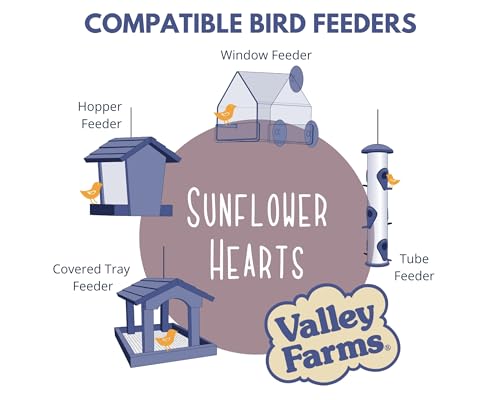 Whole Sunflower Hearts for Birds 4 LB 2 (4 Pound (Pack of 2))