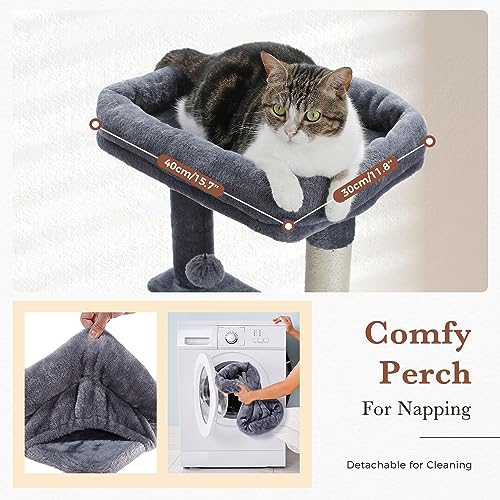 Cat Tree 60 Inches Cat Tower with Dual Condos (L-60" / Dark Gray)