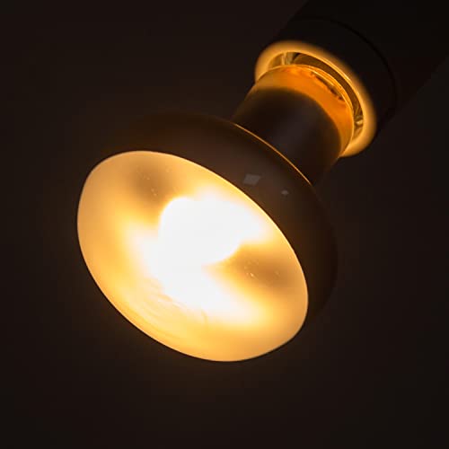 2 Pack Heat Lamp 100W (Natural Basking Light Bulb)