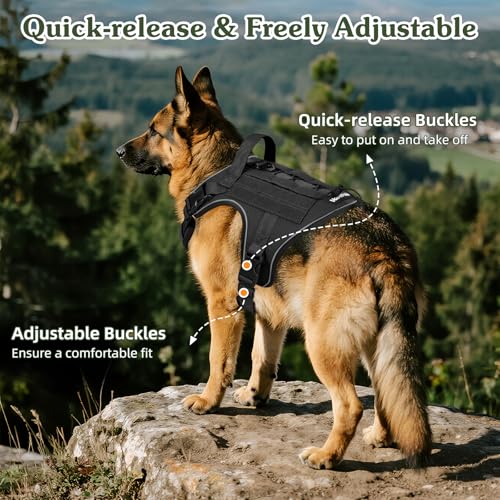 Heavy Duty Tactical Dog Harness for Small Dogs (Black / S (Chest: 19.6-31.5", Neck: 11-19.6"))