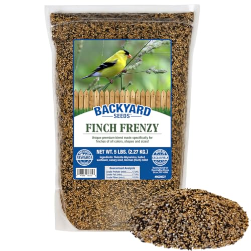 Backyard Seeds 5LB Finch & Small Songbird Frenzy (Finch Frenzy / 5 Pound (Pack of 1))