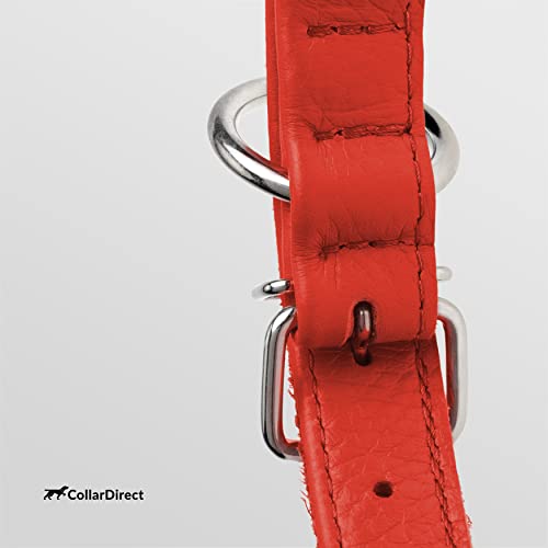 Tangle Free Rolled Leather Dog Collar