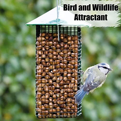 Wildlife Shelled Peanuts (5 Pound (Pack of 1) / Shelled)
