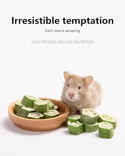 Hamster Snack Treat Toy