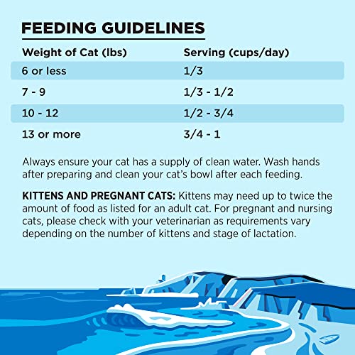 Liberty Dry Food Salmon Recipe for Cats