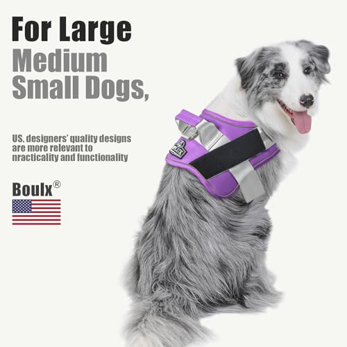 Dog Harness No (Medium (Pack of 1) / Lavender)
