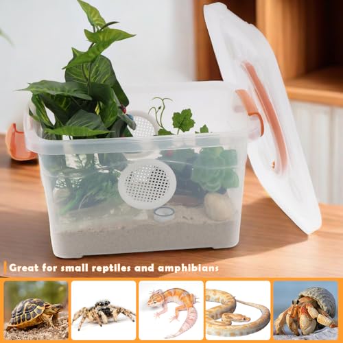 Reptile Feeding Box Snake Plastic Transparent Breeding Box Hatching Container for Small Reptile Bearded Gecko Dragon Lizard Spider Frog Scorpion