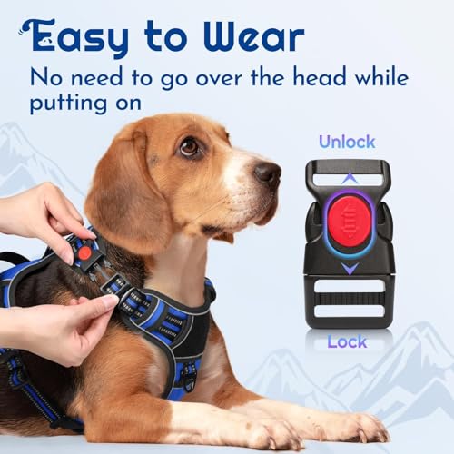 Dog Harness No Pull for Small Dogs (Small / Blue & Black)