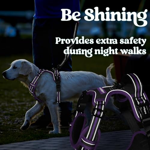 Dog Harness for Large (Black & Purple / X-large)