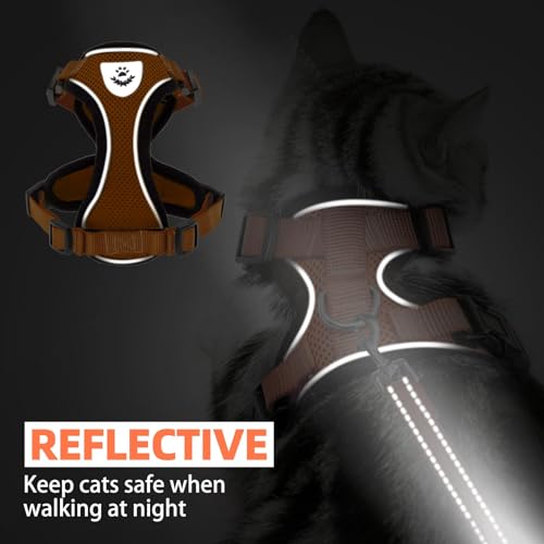 Cat Harness and Leash Set Escape Proof Reflective Cat Walking Harness Adjustable Soft Breathable Mesh Vest for Small Pets (M (NECK 11"-13.7", CHEST 16"-20") / Orange)