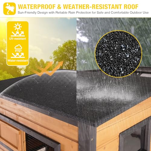 Large Catio Cat Enclosure Window for Outdoor Cats