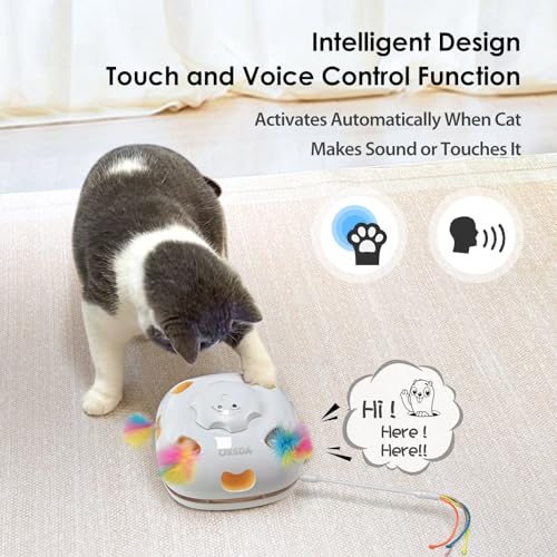 Cat Toys 4 in 1 Interactive Cat Toys for Indoor Kitten