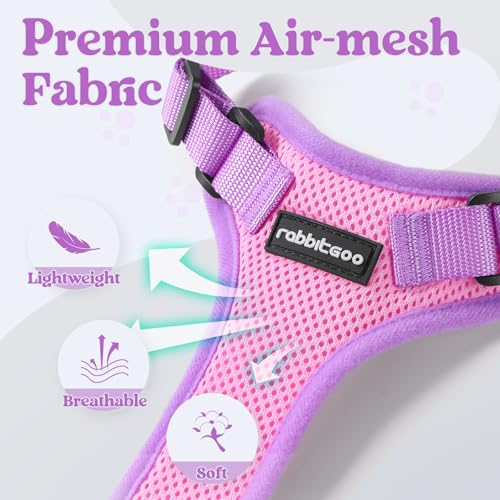 Cat Harness and Leash Set (Pink & Purple / M)