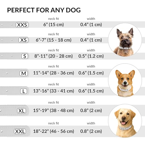 Tangle Free Rolled Leather Dog Collar (White / L)