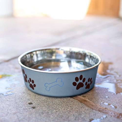 Bella Dog Bowls (Blueberry / Large (35-65lbs))