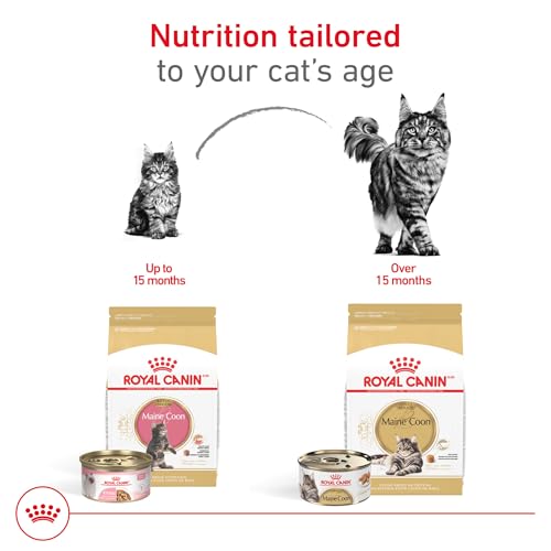 Feline Breed Nutrition Maine Coon Adult Thin Slices in Gravy Cat Food (3 Ounce (Pack of 6))