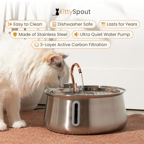 The KittySpout Stainless Steel Wireless Cat Water Fountain (Stainless)