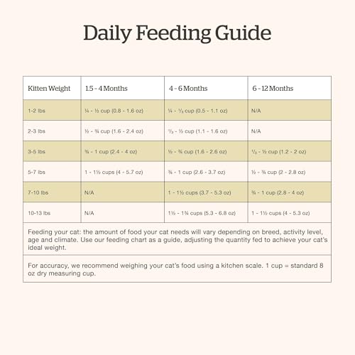 Kitten Dry Cat Food (3 Pound (Pack of 1))