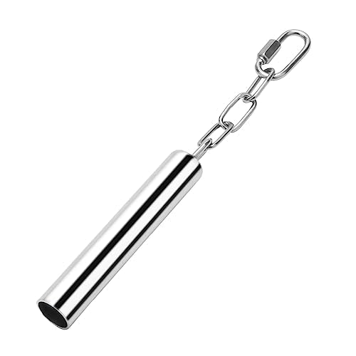 Stainless Steel Bell Toy Bird Cage Hanging Bite Toy for Parrot Parakeet Budgie Cockatiel Conure African Greys (1 PCS-L)