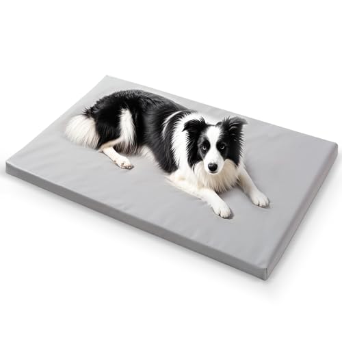 Dog Mat 27"x 42"Dogs Crate Pad (42"L x 27"W / Gray)