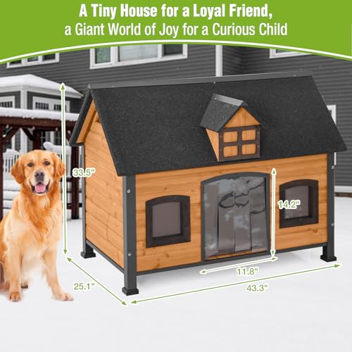 Heated Outdoor Dog House