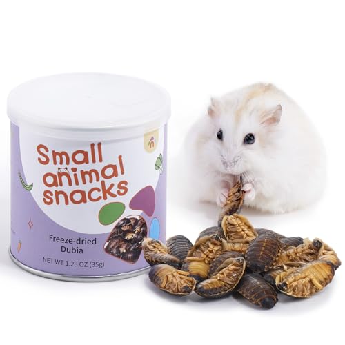 Hamster Snack & Treats Toy