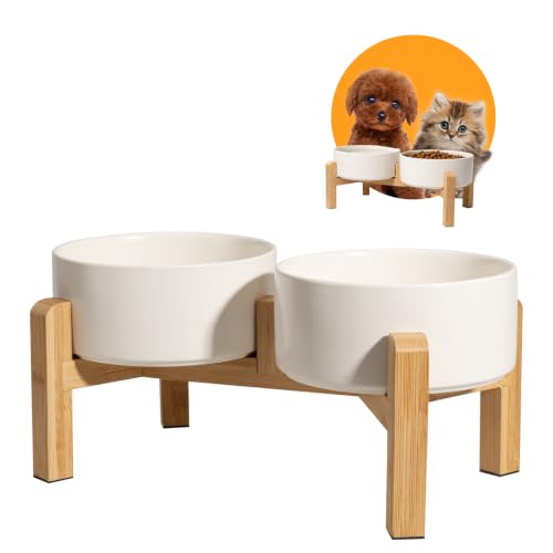 Elevated Ceramic Dog Bowl (White / Small)