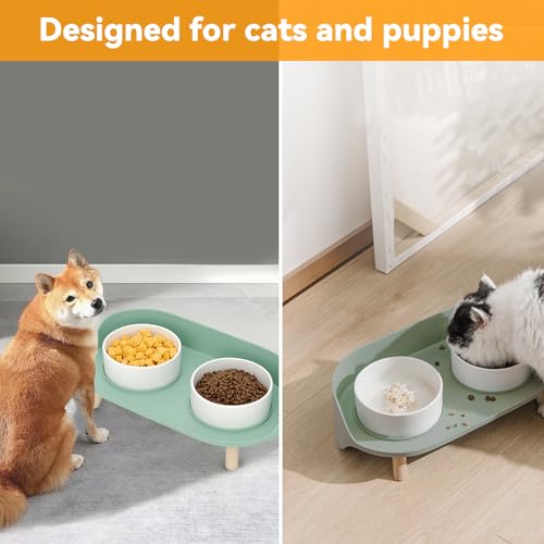 Elevated Dog Bowls Set (Green)