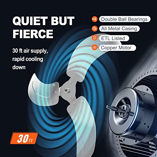 20 Inch Wall Mount Fan (20 Inch / Oscillating)