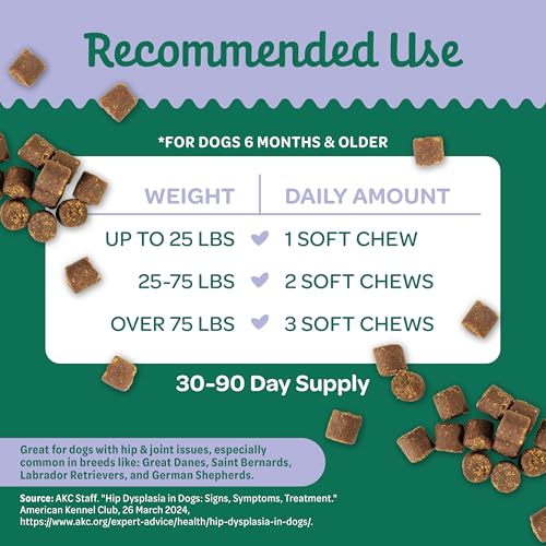 Hip and Joint Chews for Dogs (7.9 Ounce (Pack of 1))