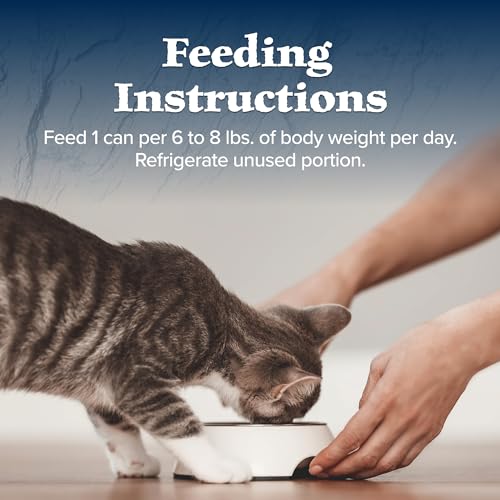 Wilderness Rocky Mountain Recipe Wet Cat Food Paté (Assorted / 5.5 Ounce (Pack of 24))