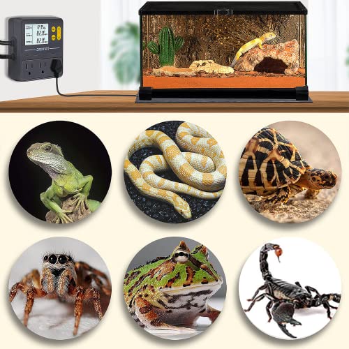 Reptile Temperature Controller