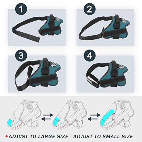 Dog Harness No (X-Small (Pack of 1) / Turquoise)
