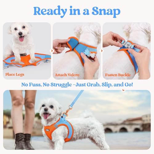 Dog Harness Small Sized and Leash Set (Blue & Orange / S (chest: 15.1 - 16.5"))