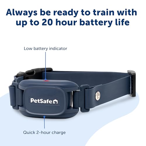 Pro Trainer Add (Extra Collar Only)