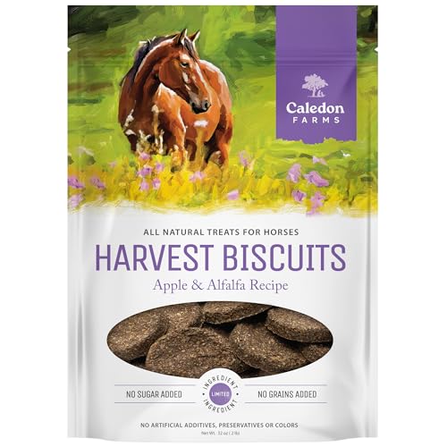 Harvest Biscuits (2 Pound (Pack of 1))