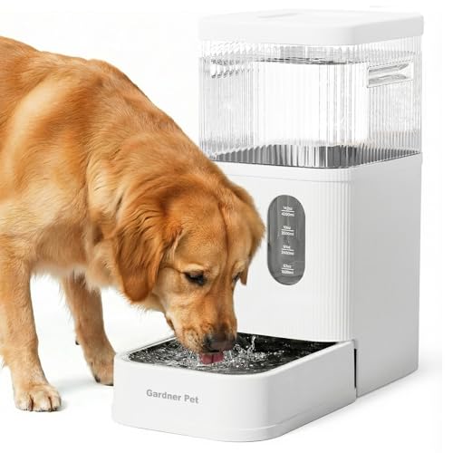 2.9 Gallon Automatic Dog Water Dispenser with Stainless Steel Bowl (White / 2.9 Gallon)