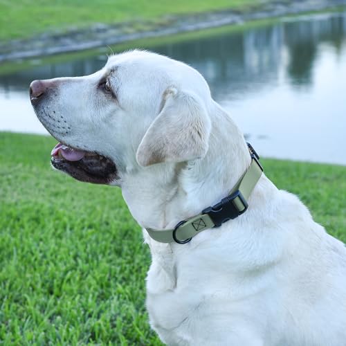 Biothane Waterproof Dog Collar with Quick Release Buckle Strong Coated Nylon Webbing with Odor