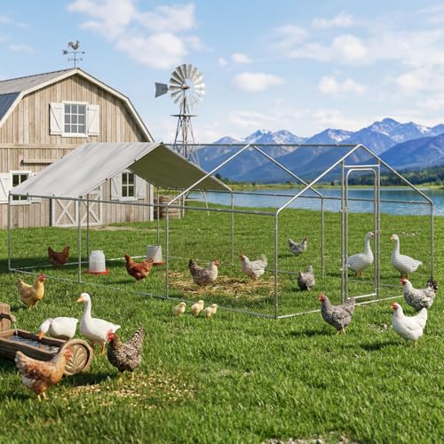 20x10 FT Extra Large Metal Chicken Coop (236.16"L x 118.1"W x 76.8"H)
