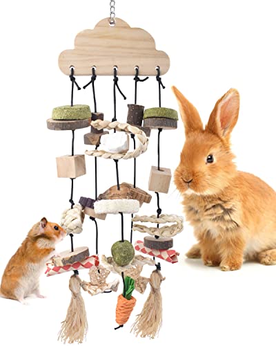 Rabbit Chew Toy (Style-1)