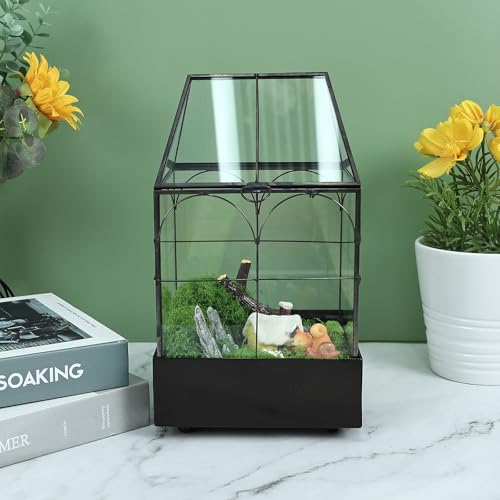 Glass Terrarium with Metal Tray (Small-5.9"L x 5.9"W x 10.2"H)