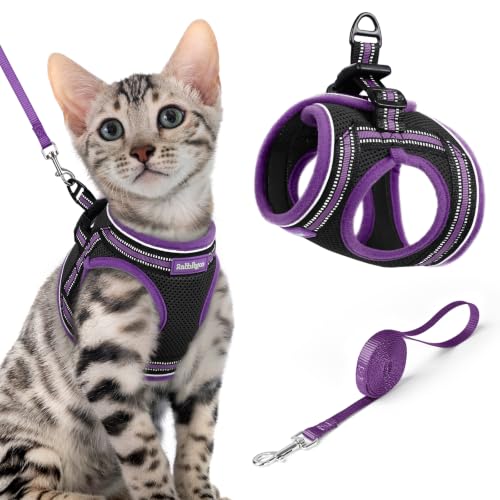 Cat Harness and Leash Set (XL / Black & Purple)