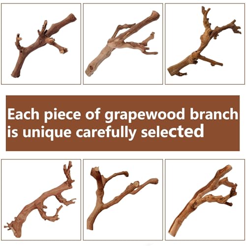 2PCS Reptile Wood Branches Decor (2Pcs 12in Reptile Wood Branches)