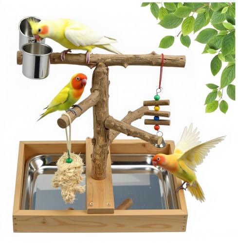 Bird Perch Stand (Style B)