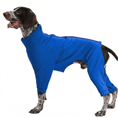 Recovery Suit for Large Dogs (Blue / XL)