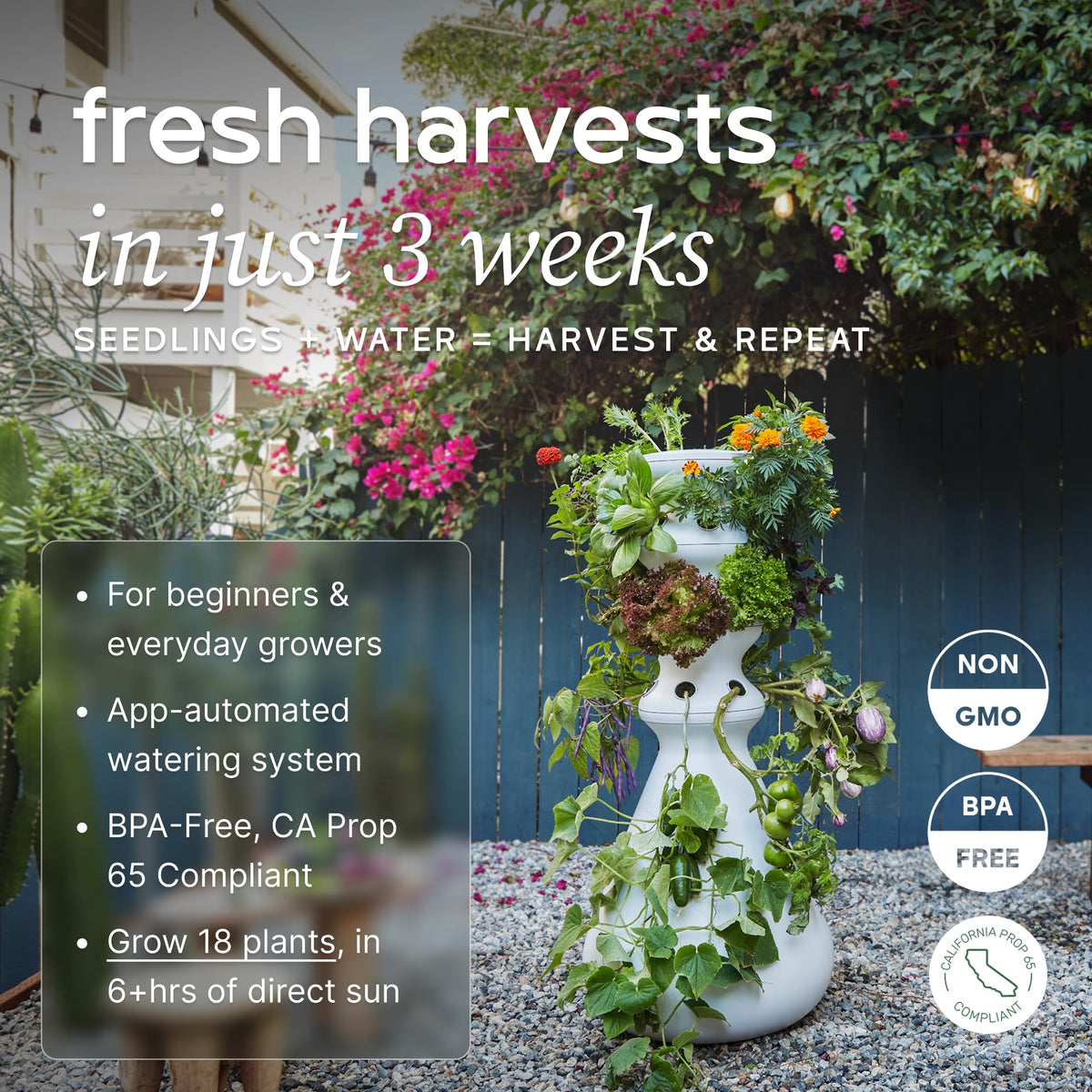 Farmstand Outdoor Starter Kit (18 Seedlings / Outdoor With Seedlings)