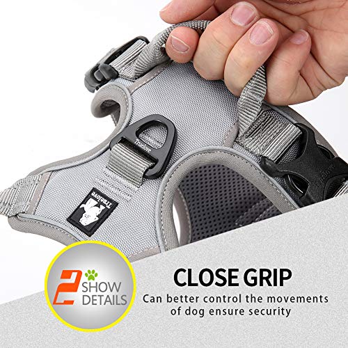 Truelove No Pull Dog Harness with Easy Control Handle and 2 Leash Attachments (Small / Gray)