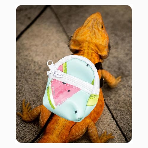 Bearded Dragon Backpack Carrier (Blue)