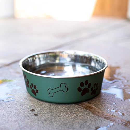 Bella Dog Bowls (Artichoke / Large (35-65lbs))