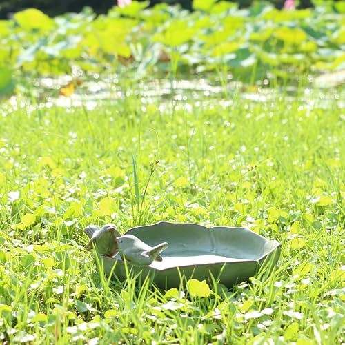 Ceramic Bird Bath for Outside (Big birdbath)
